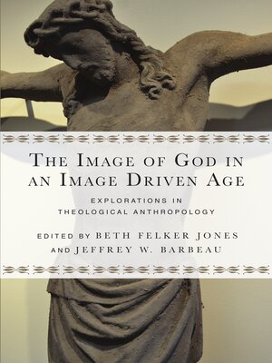 cover image of The Image of God in an Image Driven Age: Explorations in Theological Anthropology